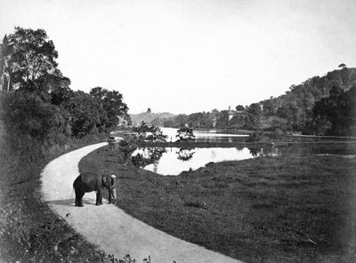 Kandy Lake, Kandy, Sri Lanka, c1910s by Unbekannt