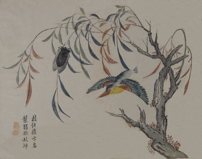Kingfisher, Cicada, and Willow Tree by Unbekannt