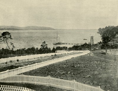Lake Macquarie, from Toronto by Unbekannt