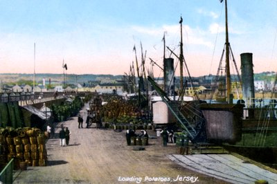 Loading Potatoes, Jersey, 1908 by Unbekannt