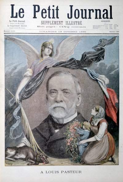 Louis Pasteur, French Chemist by Unbekannt