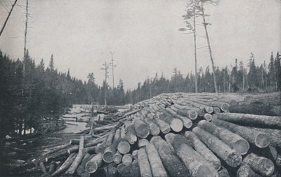 Lumbering by Unbekannt