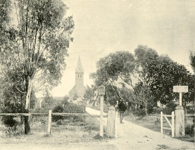 Lutheran Church, Tanunda by Unbekannt