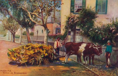 Madeira - Carca De Bananeiras, c1940 by Unbekannt
