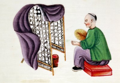 Man drying silkworm cocoons, 19th century by Unbekannt