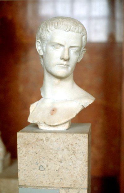 Marble Bust of the Emperor Caligula by Unbekannt