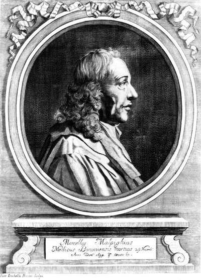 Marcello Malpighi, Italian Medical Pioneer, c. 1870 by Unbekannt