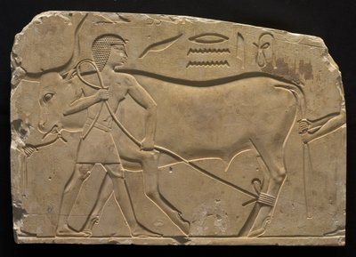 Men Trussing an Ox, 667-647 BC by Unbekannt