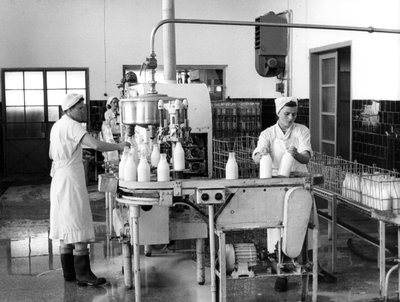 Milk Production, Zagreb, Yugoslavia by Unbekannt