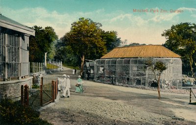 Mitchell Park Zoo, Durban, c1915 by Unbekannt