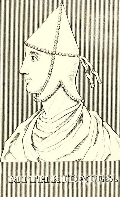 Mithridates by Unbekannt
