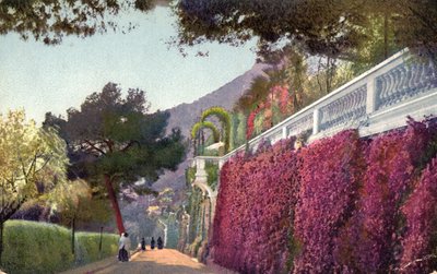 Monte Carlo by Unbekannt