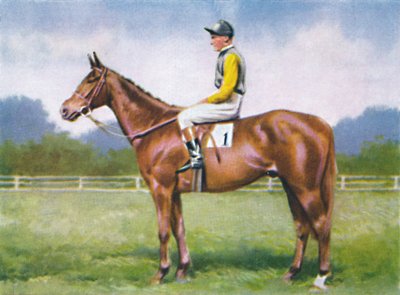 Morse Code, Jockey: D. Morgan by Unbekannt