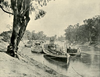 Murray Barges and Steamboats at Echuca by Unbekannt
