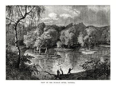 Murray River, Victoria, Australia by Unbekannt