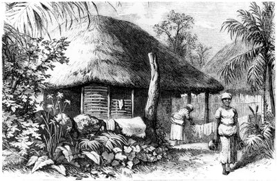 Native Habitation, Santo Domingo, 1873 by Unbekannt