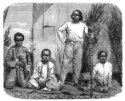 Natives of the island of Reunion, c1890 by Unbekannt