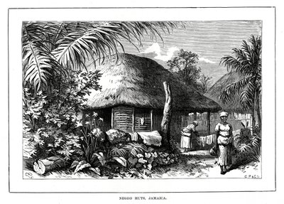 Negro Huts, Jamaica by Unbekannt