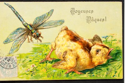 Happy Easter, Chick, Dragonfly by Unbekannt
