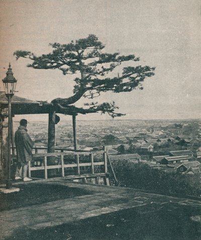 Overlooking Modern Tokyo, 1907 by Unbekannt