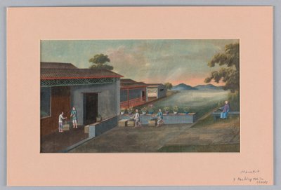 Packing Tea in Chests, 1890–1910 by Unbekannt