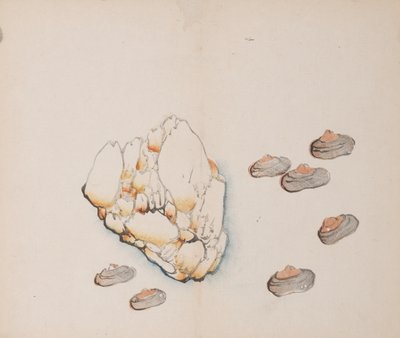 Page from Shi Zhu Zhai by Unbekannt