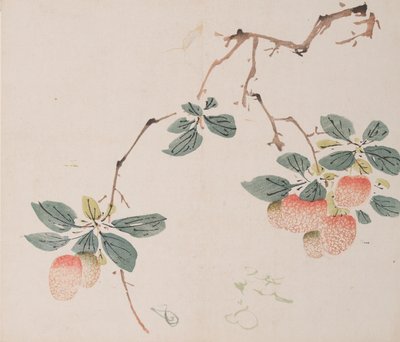 Page from Shi Zhu Zhai by Unbekannt