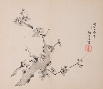 Page from Shi Zhu Zhai by Unbekannt