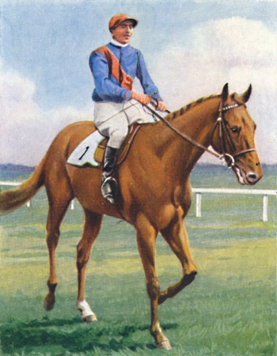 Panorama, Jockey: P. Beasley by Unbekannt