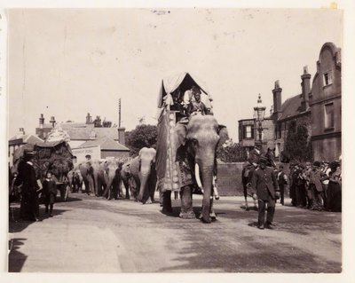 Parade of elephants, c 1905 by Unbekannt