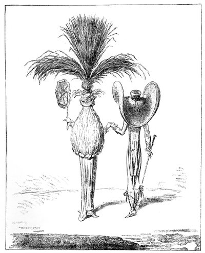 Parasols for 1795 by Unbekannt