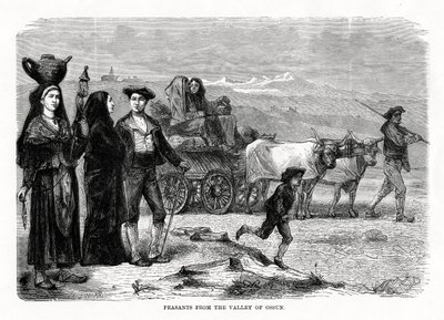 Peasants from the Valley of Ossun, France by Unbekannt