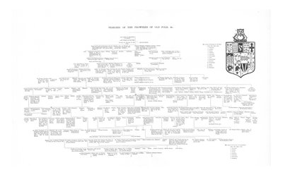 Pedigree of the Frowykes of Old Fold, 1886 by Unbekannt