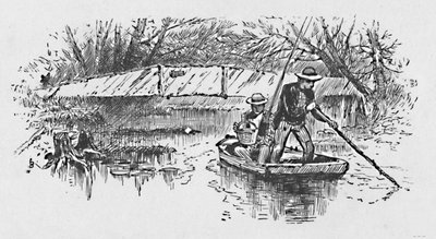 Perch-Fishing on the Lake, 1883 by Unbekannt