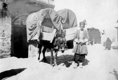 Persian Donkey Transport, Baghdad, Iraq by Unbekannt