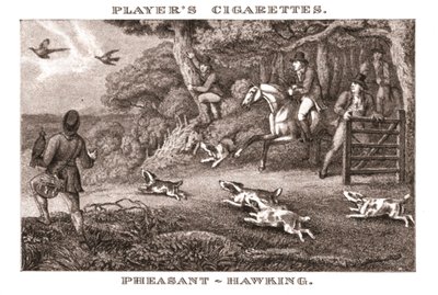 Pheasant-Hawking, 1924 by Unbekannt