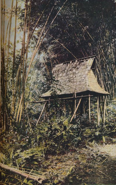 Philippine Islands, c1930s by Unbekannt