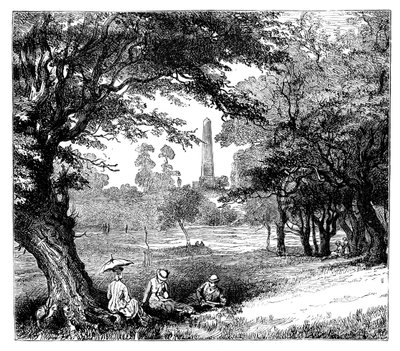 Phoenix Park, Dublin by Unbekannt