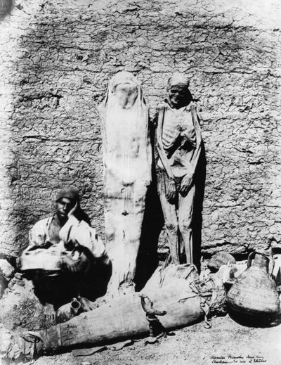 Photograph of mummies by Unbekannt