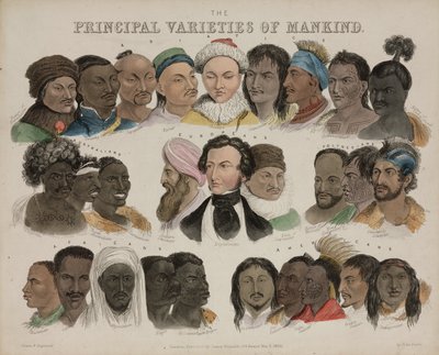 Physiognomy 