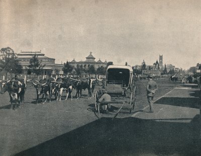 Pietermaritzburg by Unbekannt