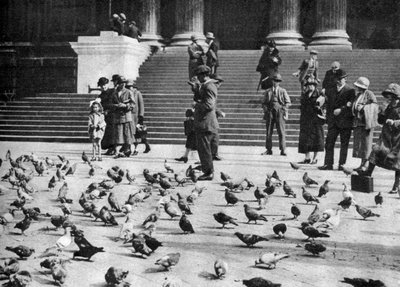 Pigeons in Trafalgar Square, London, 1926-1927 by Unbekannt