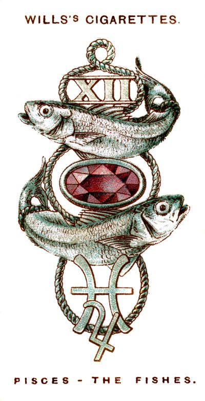 Pisces, The Fishes by Unbekannt
