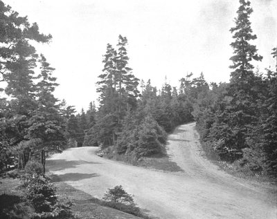 Point Pleasant Park, Halifax, Nova Scotia, Canada, c1900 by Unbekannt