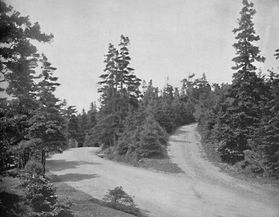 Point Pleasant Park, Halifax, Nova Scotia by Unbekannt