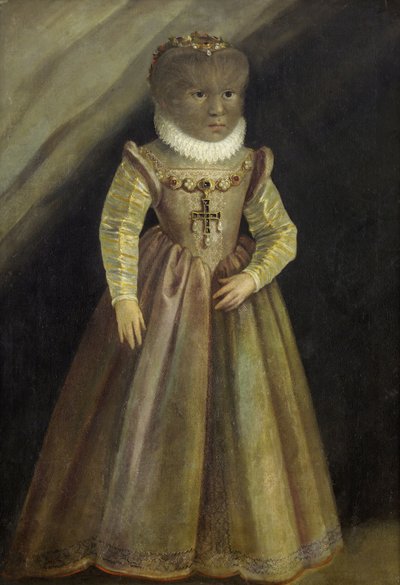 Portrait of Antonietta Gonsalvus, c. 1580 by Unbekannt
