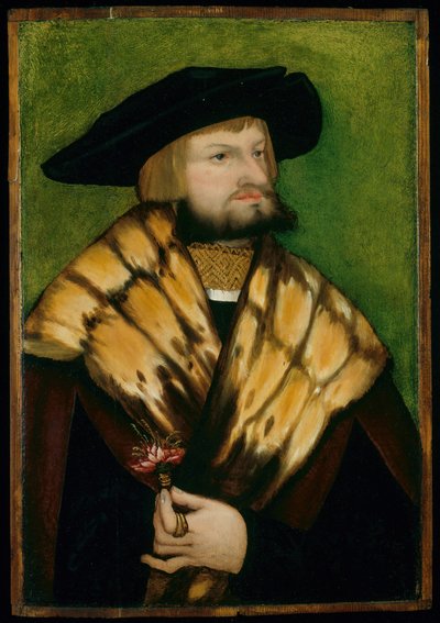 Portrait of Leonhard Fuchs by Unbekannt
