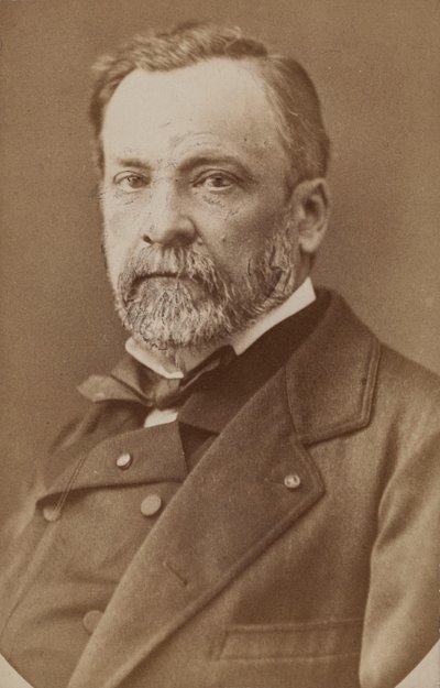 Portrait of Louis Pasteur by Unbekannt