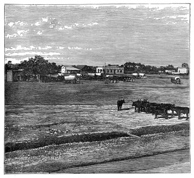 Potchefstroom, the Transvaal, South Africa, c1890 by Unbekannt