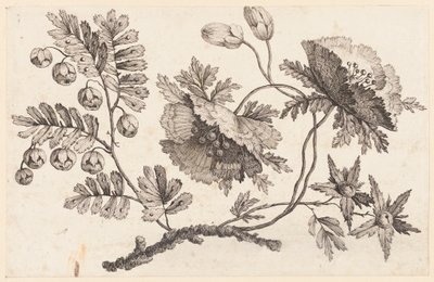 Print by Unbekannt